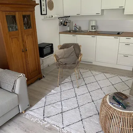 Sonnenterrasse Apartment Todtmoos