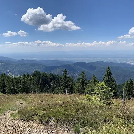 Sonnenterrasse דירה טודמוס