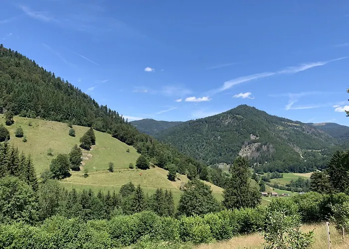 Sonnenterrasse 公寓 *