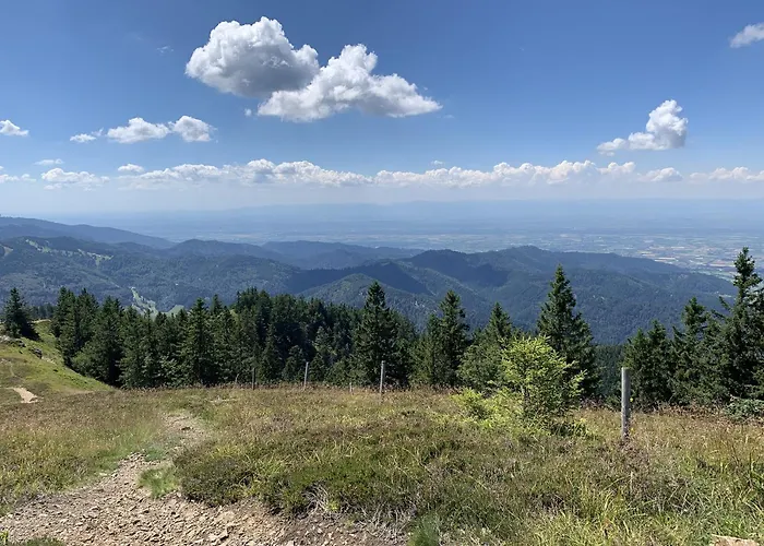 Sonnenterrasse 公寓 托特莫斯